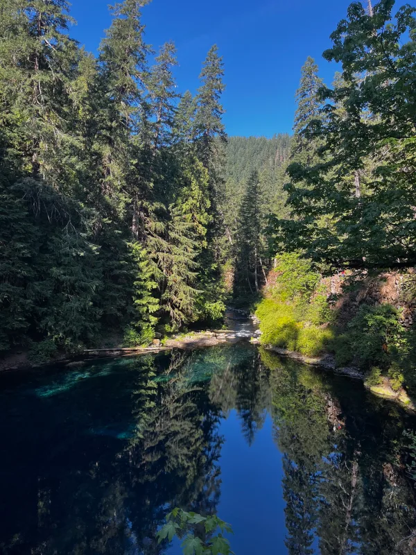 Tamolitch Falls Blue Pool