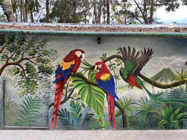 Five Days at Lake Atitlan, and Why I Stayed in Panajachel