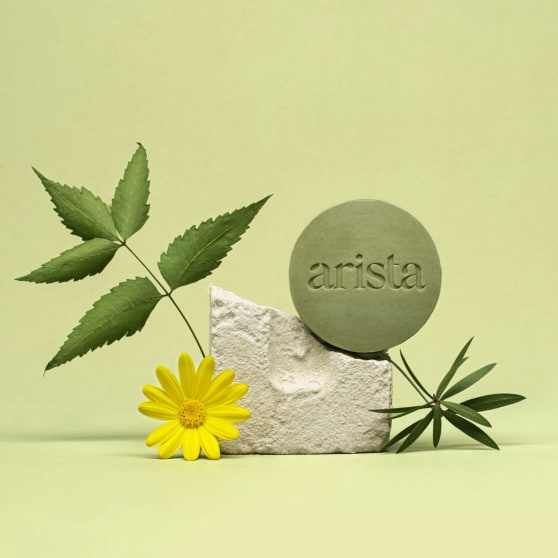 Arista Ayurveda Shampoo Bar tegen Roos