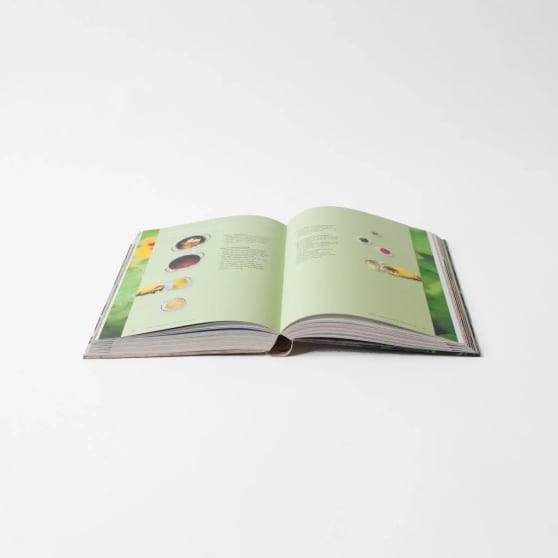 Werfzeep Zeepboek - de keuken van Werfzeep