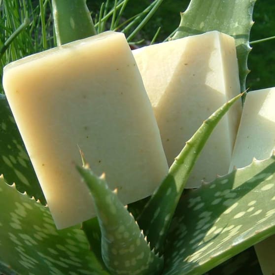 Chagrin Valley Fresh Aloe Soap