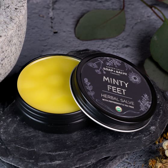 Chagrin Valley Herbal Salves Minty Feet Balm