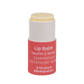 Beauty Made Easy Papertube Lipbalm Berry