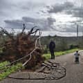 Werfzeep Stormzeep