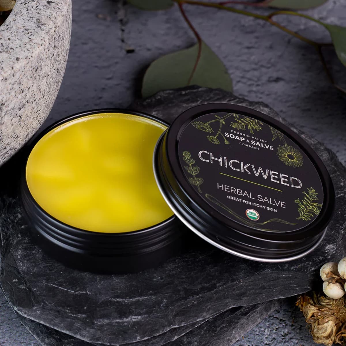 Chagrin Valley Herbal Salves Chickweed | Kruidenzalf met Vogelmuur