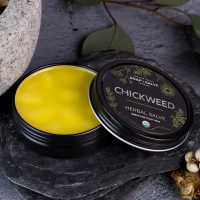 Chagrin Valley - Herbal Salves Chickweed | Kruidenzalf met Vogelmuur