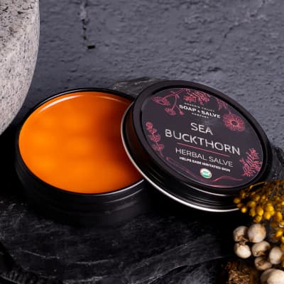 Chagrin Valley - Herbal Salves Sea Buckthorn Small
