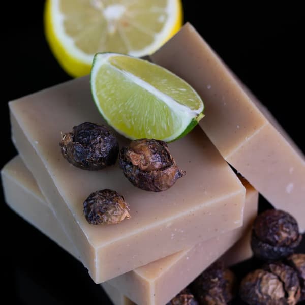 Chagrin Valley Soapnuts Citrus Mint Shampoo Bar