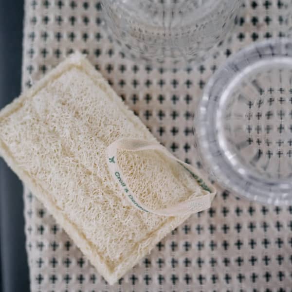 Croll & Denecke Loofah Schuur Spons