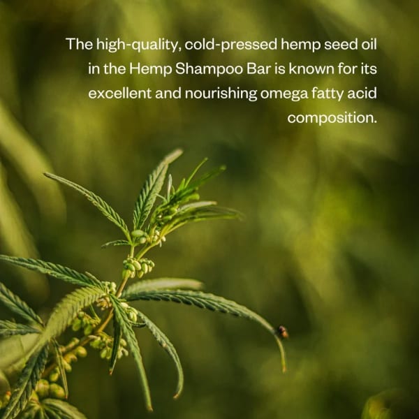Flow Cosmetics Shampoo bar Hennep voor een problematische en droge hoofdhuid