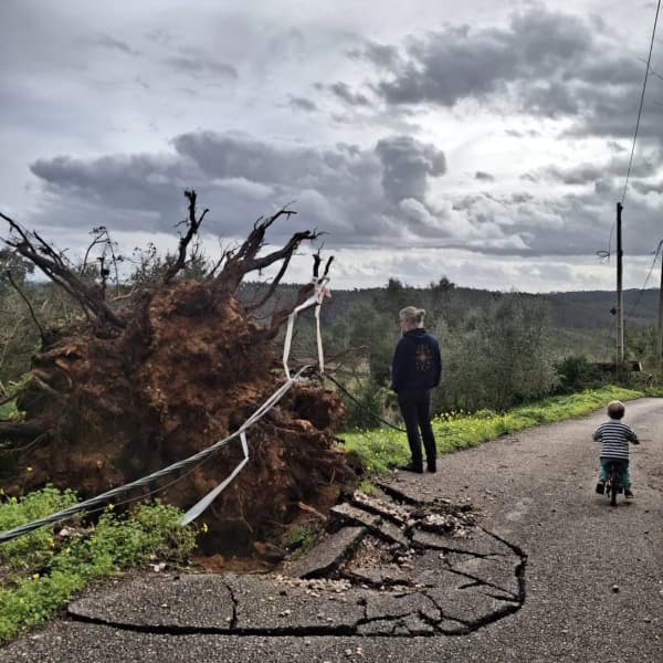 Werfzeep Stormzeep