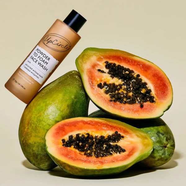 UpCircle Powder To Foam Face Wash with Upcycled Willow Bark + Papaya Enzymes