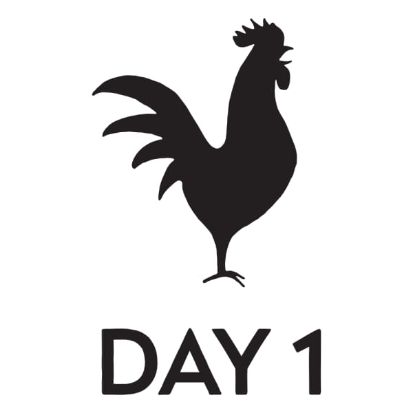 Day 1 Logo