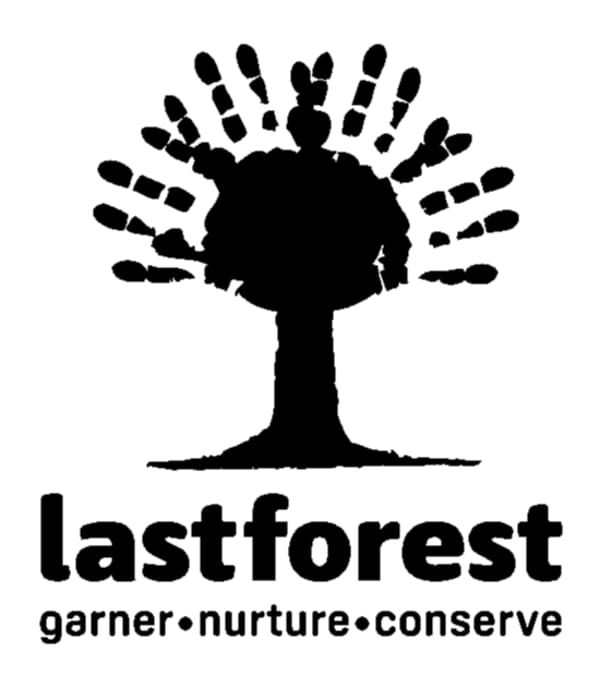 Last Forest Logo