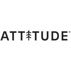 Attitude