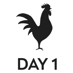 Day 1