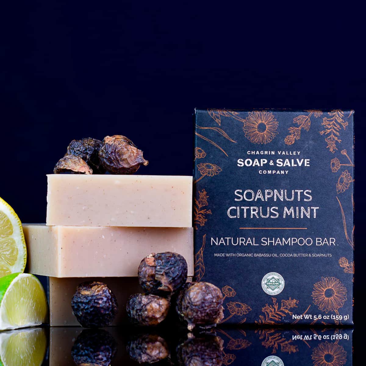 Chagrin Valley Soapnuts Citrus Mint Shampoo Bar afbeelding