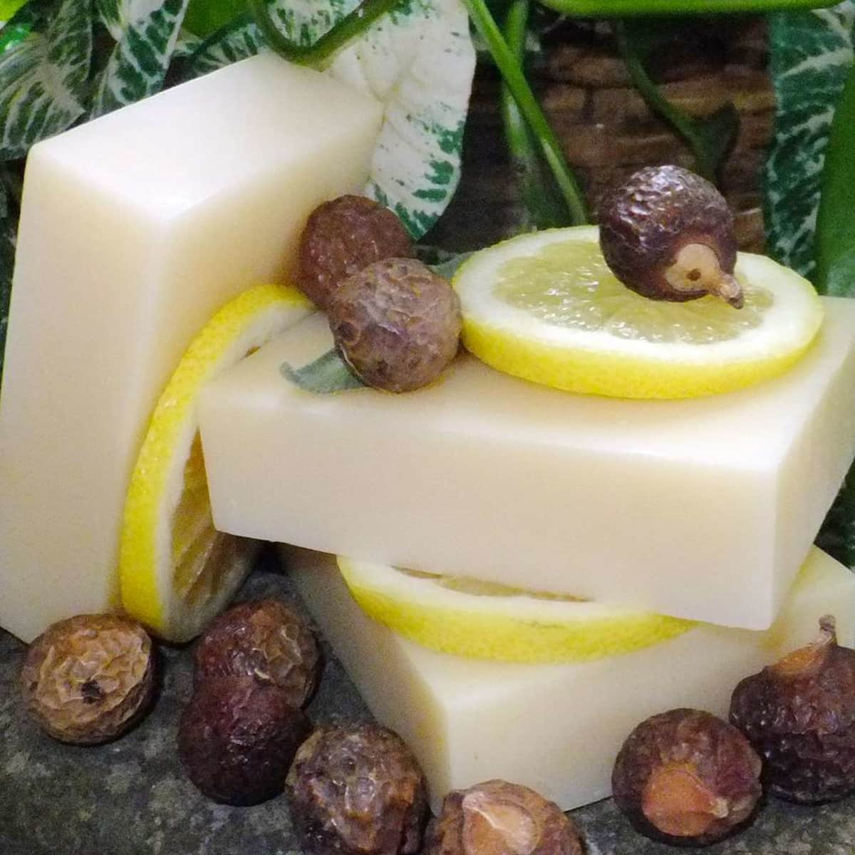 Chagrin Valley Soapnuts Citrus Mint Shampoo Bar