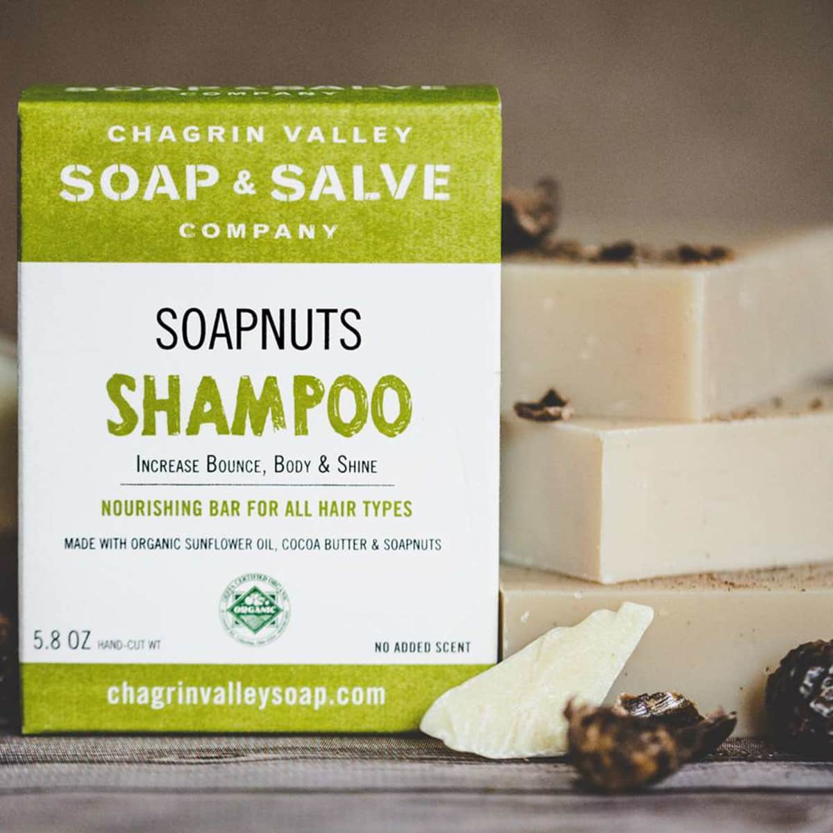 Chagrin Valley Soapnuts Shampoo Bar