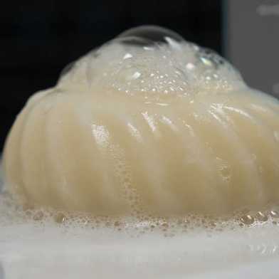 Najel Vaste Shampoo met biologische sheaboter en olijfolie