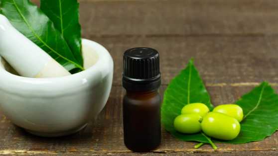 Neemolie: een krachtige alleskunner voor mens, dier en plant