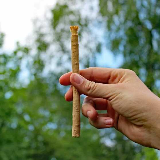 Woody Miswak Natuurlijke Tandenborstel