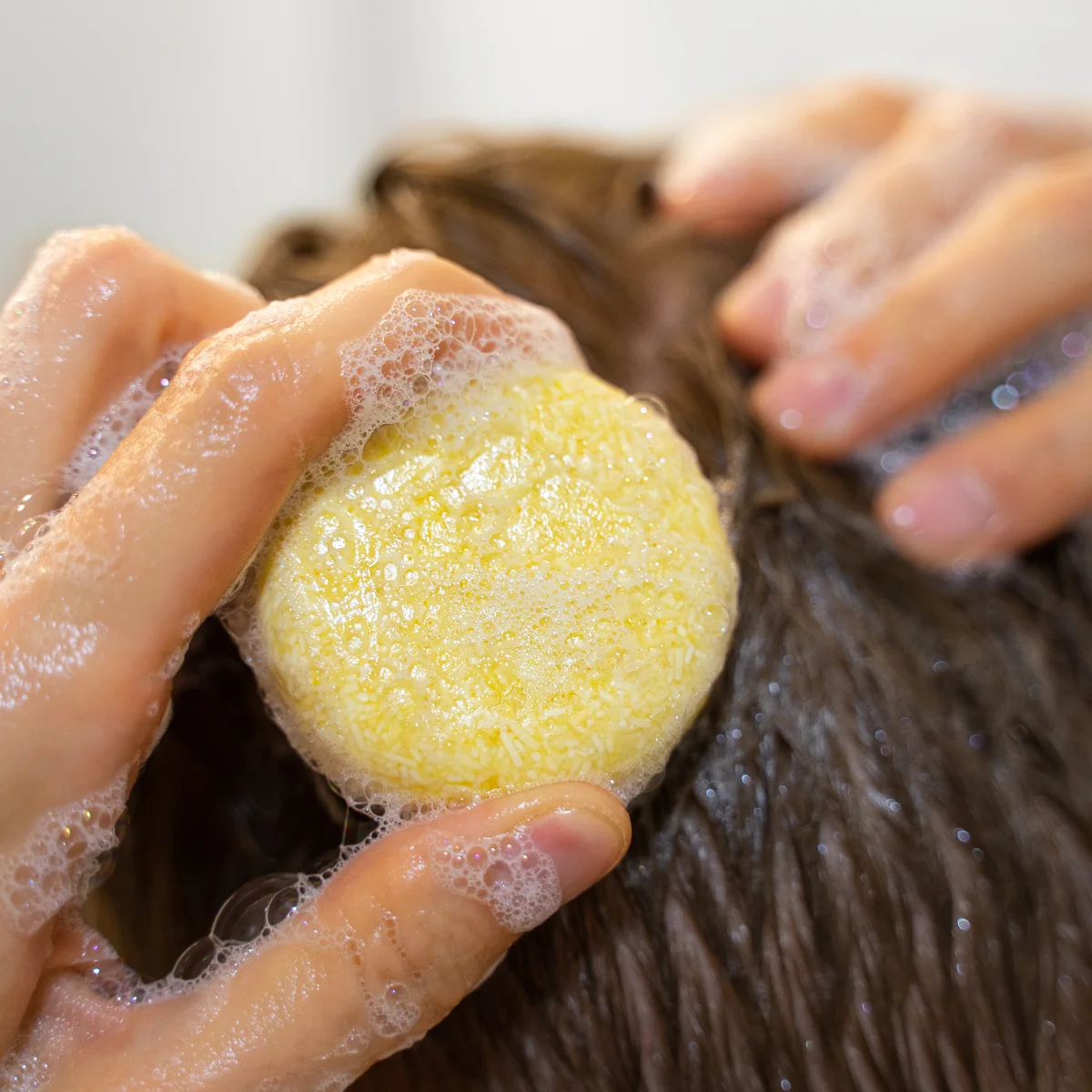 Shampoo Bars