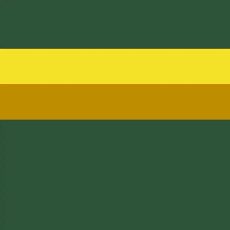 S007