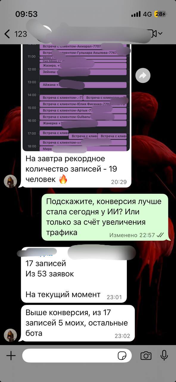 Скриншот WhatsApp-переписки с владельцем салона: календарь записей забит на следующий день, 19 записей — рекорд салона
