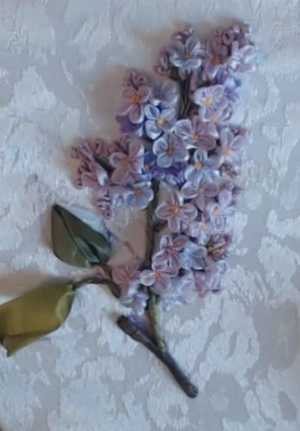 сирень сәскәһе СИРЕНЬ