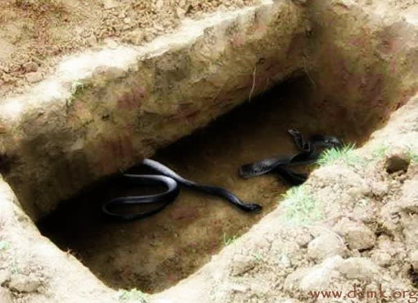 мучения в могиле до судного дня могила, место до судного дня