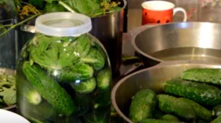 тоҙло ҡыяр огурцы соленные