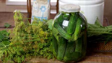 итальянса ҡыяр тоҙлау итальянский способ