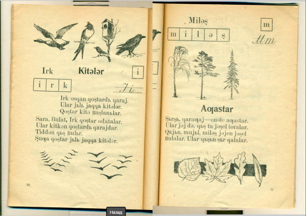 ағастар деревья Башкортостана