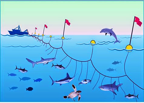 SIC EPISODE 92 : FISHING GEAR