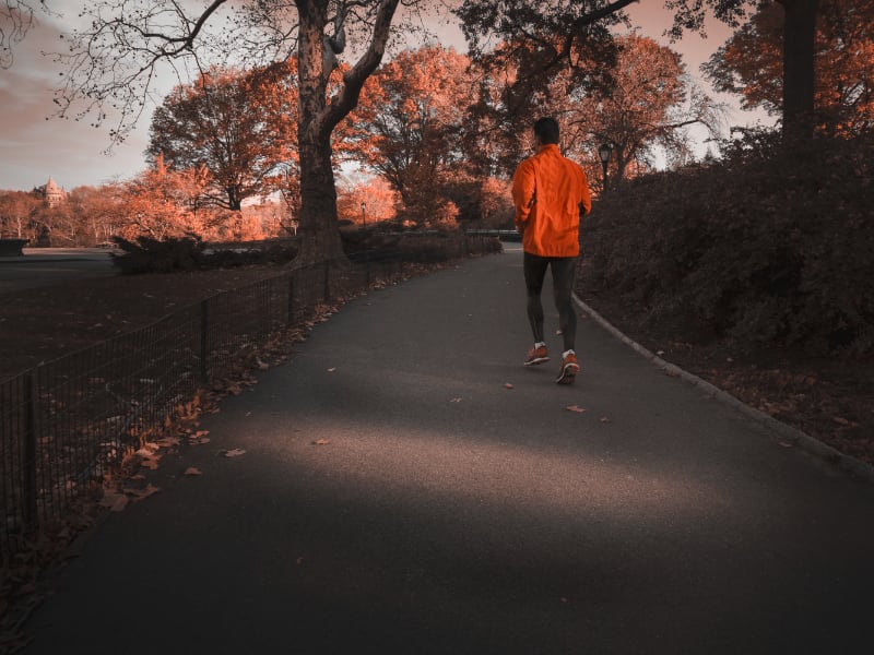 Free Hyrox Training Plan Generator PDF Download RunReps free-hyrox-training-plan-generator-pdf-download-runreps