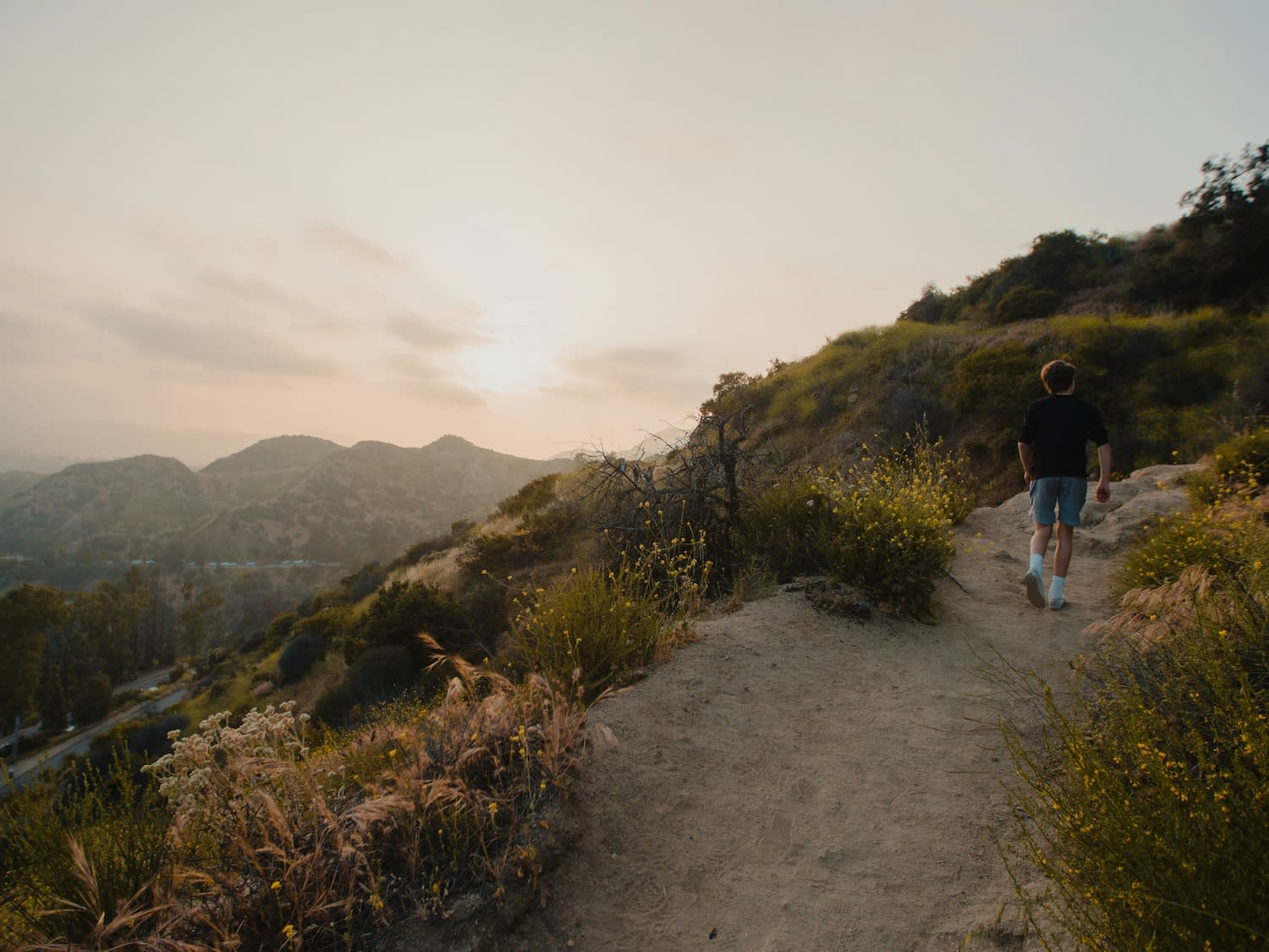 Altitude Running and Heart Recovery