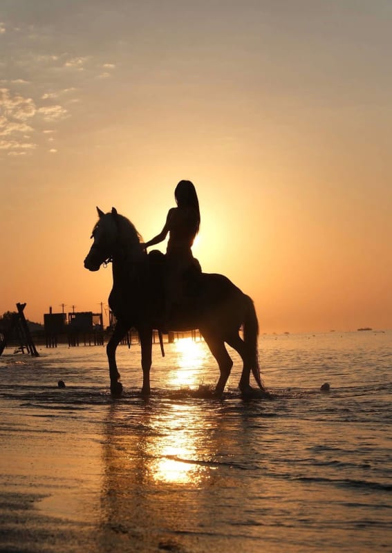 Antalya Lara Horse Riding Tour – Forest & Beach Safari