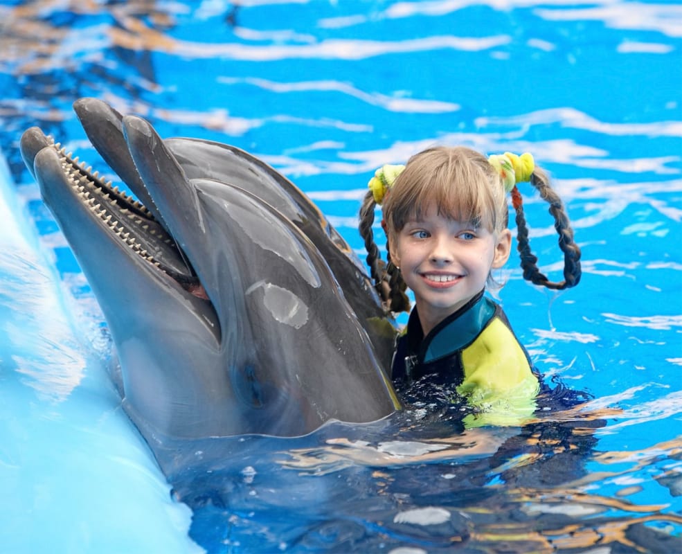 Antalya Dolphin Show & Swim with Dolphins Experience