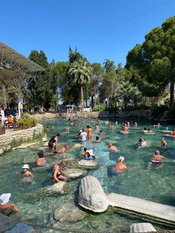 51339c8f-e9c0-4622-ba00-989ff768691f