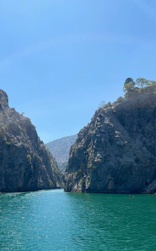 35f37c85-1b60-4d3d-8e63-d64e86aac44e