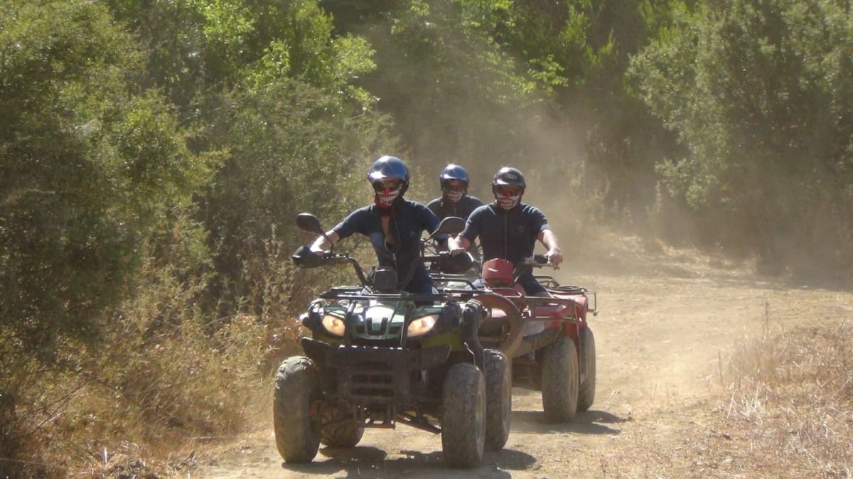 0d528565-7dde-4b4f-b7fe-321a4c2ed1e6