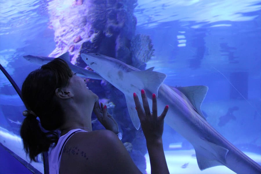 Antalya Aquarium Tour with Hotel Transfer