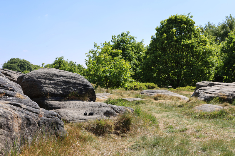 Glen Rocks Landscape - 4