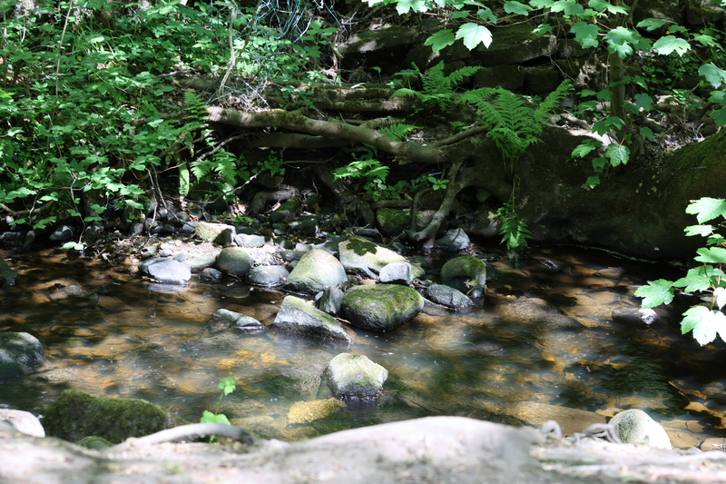Glen Stream - 5