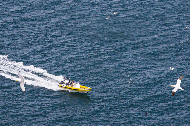Boat Wide - 1