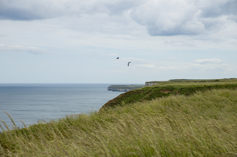 Flamborough Cliffs Landscape - 3