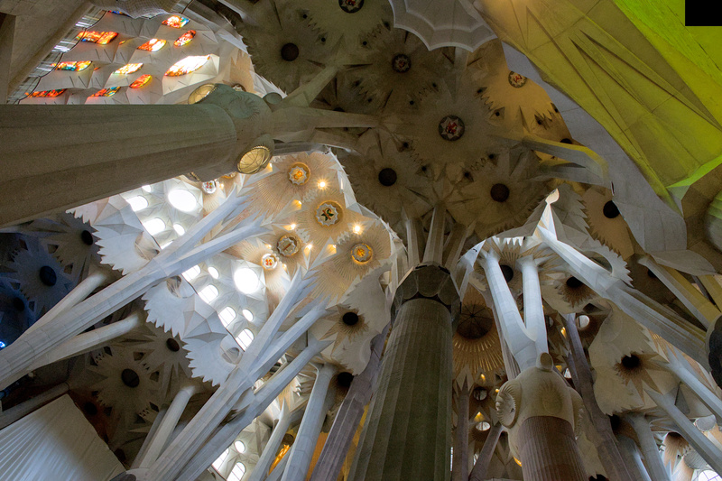 Sagrada Familia Ceiling Landscape - 4