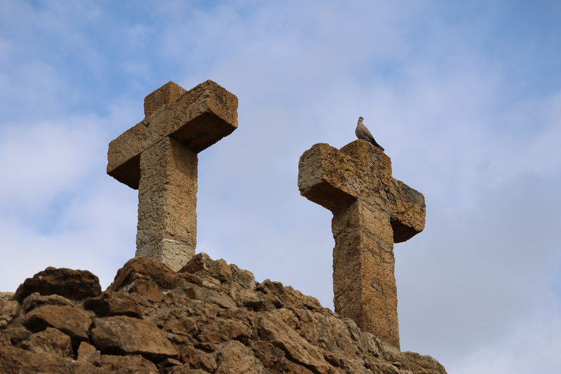 Crosses & Pigeon - 3
