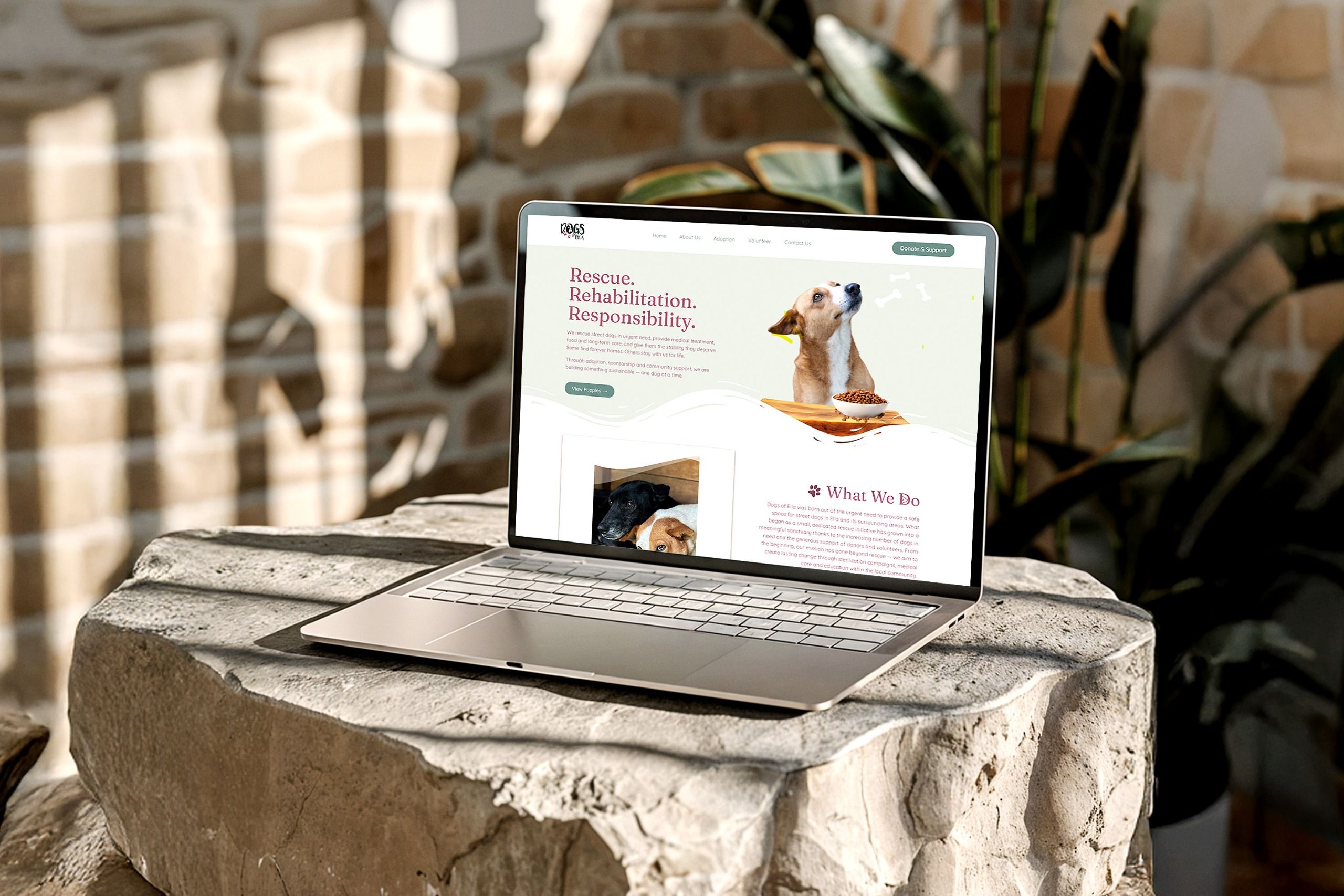 Developed Dogs of Ella Website to Support Adoption, Sponsorship & Volunteer Engagement